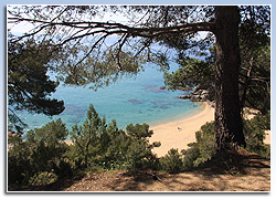 Platja de Santa Cristina